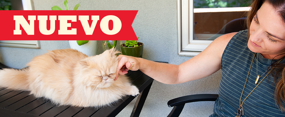 PARA GATOS – ACANA PARA GATOS